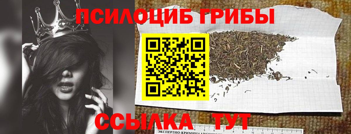 купить   Вход с VPN  Раменское  Галлюциногенные грибы мицелий  Галлюциногенные грибы мицелий 